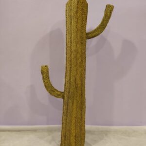 CACTUS DE ESPARTO