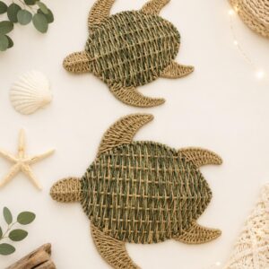 Pack Tortugas Marinas